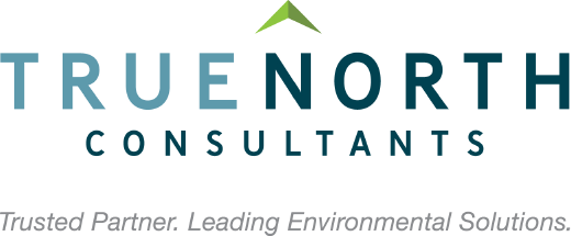 True North consultants logo
